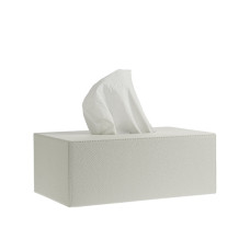 Kleenexbox 26x14 cm H8cm White
