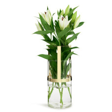 Hold Vase gross gold